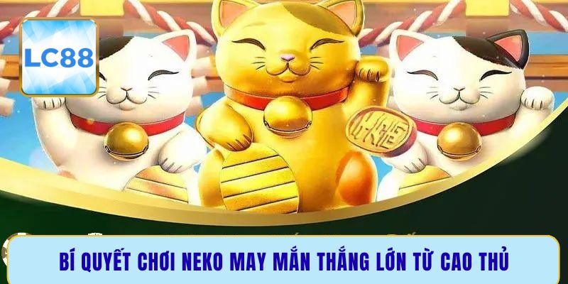 Bí quyết chơi Neko may mắn thắng lớn từ cao thủ