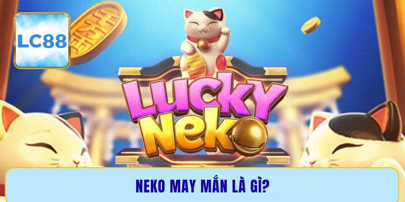 Neko may mắn là gì?